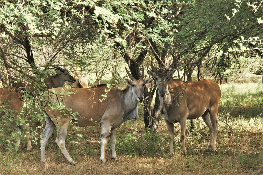 Africa 6 Plage Somone Zewnętrze zdjęcie